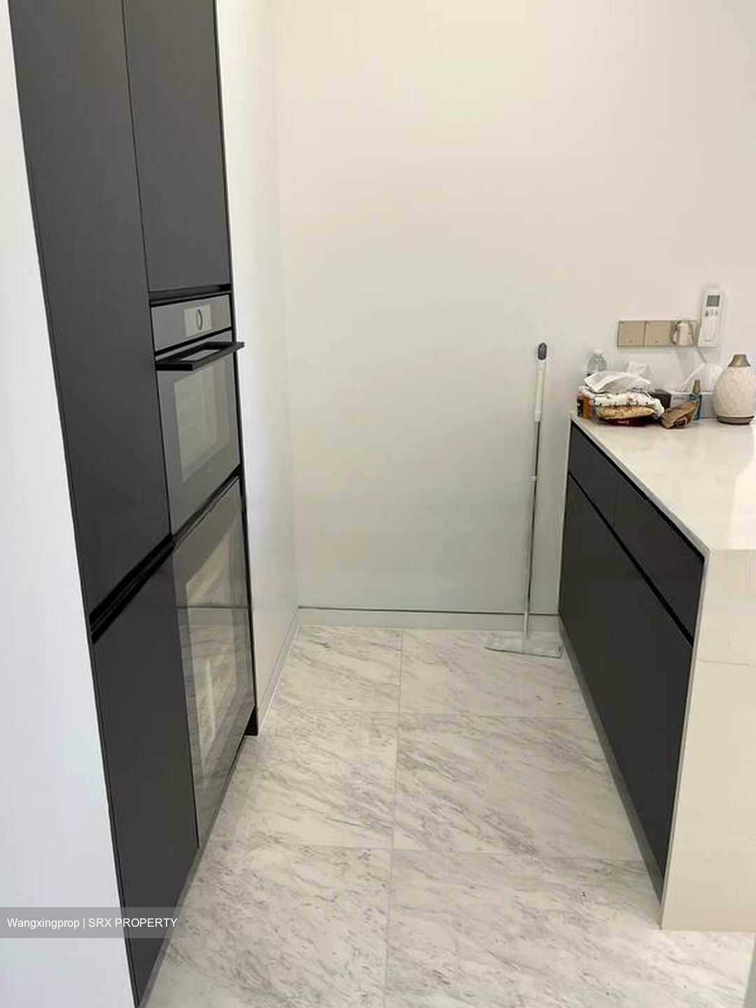 Cairnhill 16 (D9), Apartment #619525391